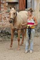 /album/tnt-adalid-enamir/a110907-cifer-11-jpg1/